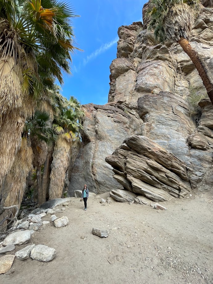 Andreas Canyon Trail